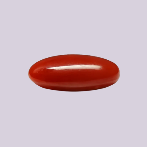 Red Italian Coral
